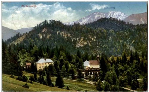 Birkenstein