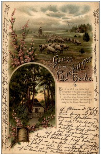 Gruss aus der Lüneburger Heide - Litho -
