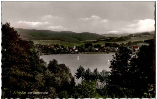 Amecke am Sorpesee