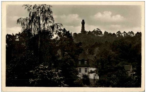 Bad Freienwalde - blick zum Aussichtsturm