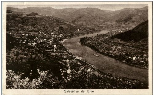 Salesel an der Elbe