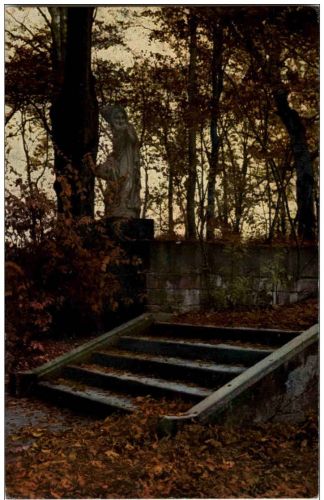 Dresden - Grosser Garten im Herbst