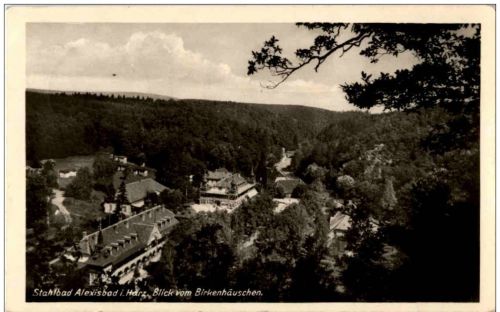 Alexisbad - Blick vom Birkenhäuschen