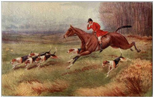 JAgd Hunting