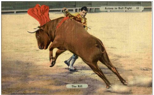 Action in Bull fight - The Kill