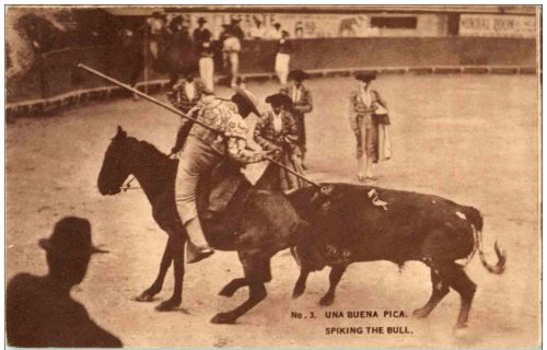 Una Buena Pica