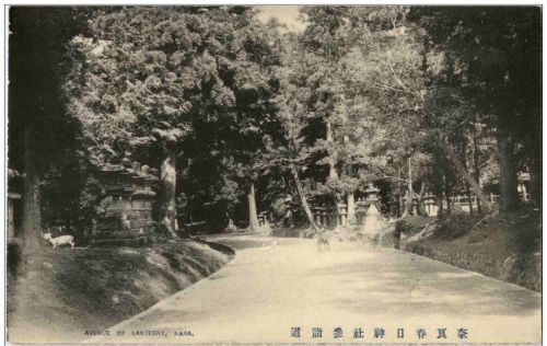 Nara - Avenue of Lanterns