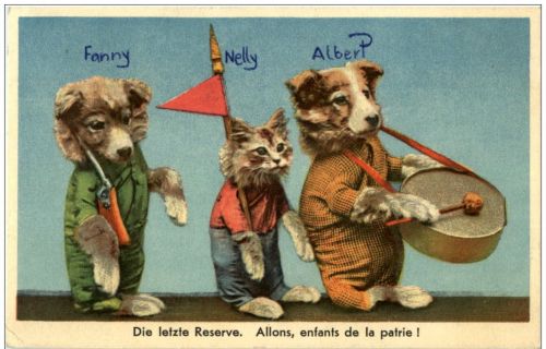 Hund Katze