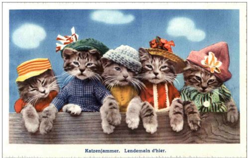 Katzen