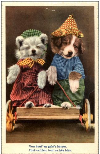 Hunde