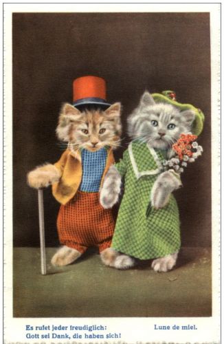 Katzen