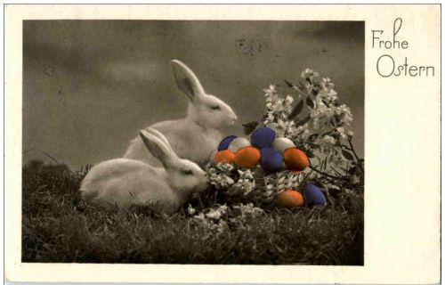 Fröhliche Ostern - Hasen