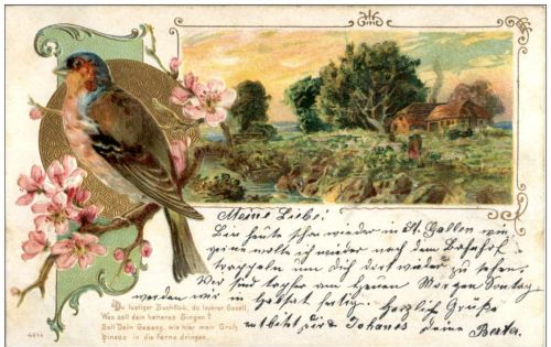 Vogel - Litho - Prägekarte