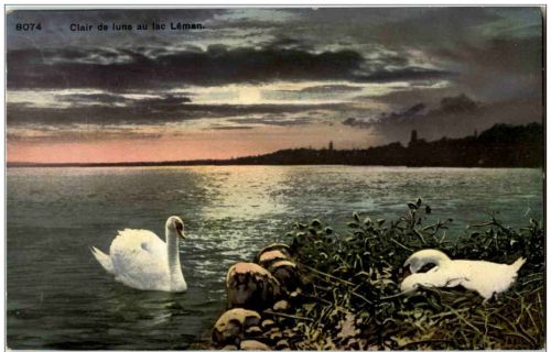 Clair de lune au lac Leman
