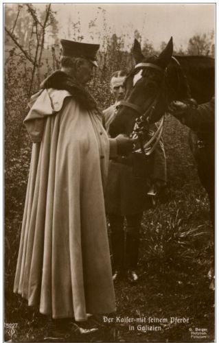 Der Kaiser in Galizien