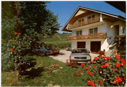 Vogtsburg Bischoffingen - Winzerhof