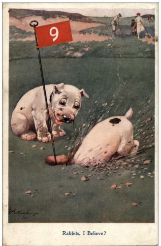 Golf - Rabbits, I Believe