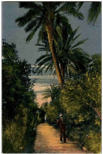 Blida - Jardin Bizot