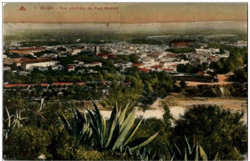 Blida - vue generale