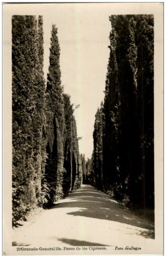 Granada Generalife - Paseo de los Cipreses