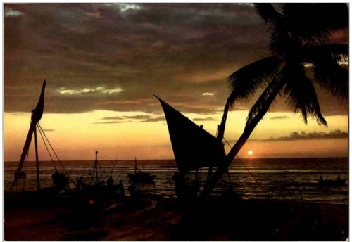 Sunset in Ceylon