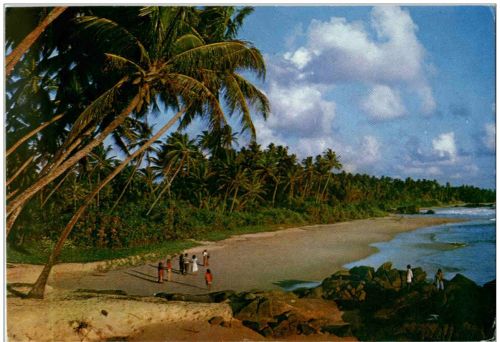Beach Scene