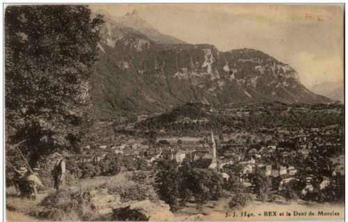 Bex et la Dent de Morcles