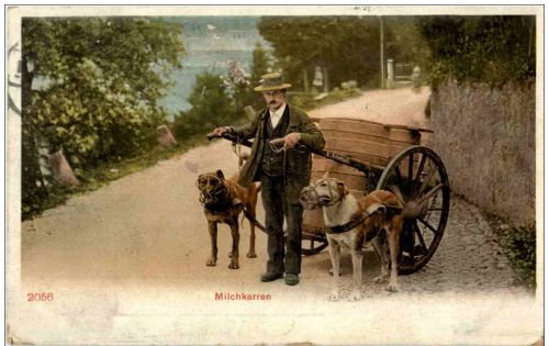 Milchkarren - Hundekutsche