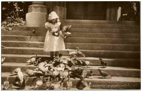 Lausanne - Les pigeons de St. Francois