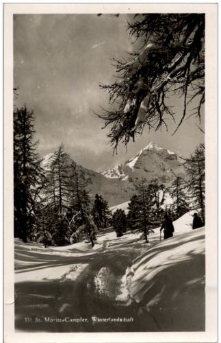 St. Moritz Campfer