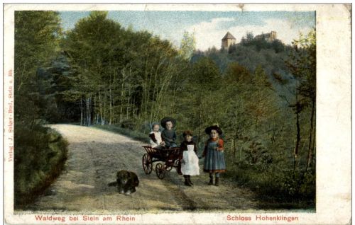 Waldweg bei Stein am Rhein