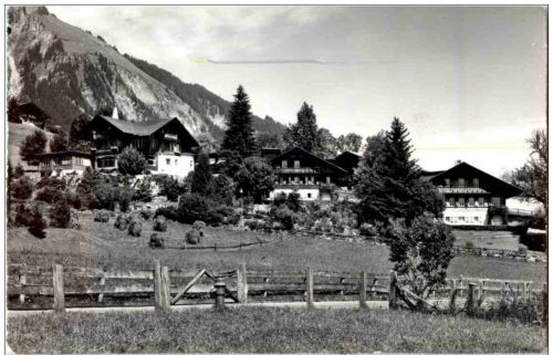 Lenk i S. - Chalet Lenk