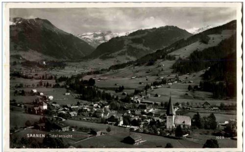 Saanen