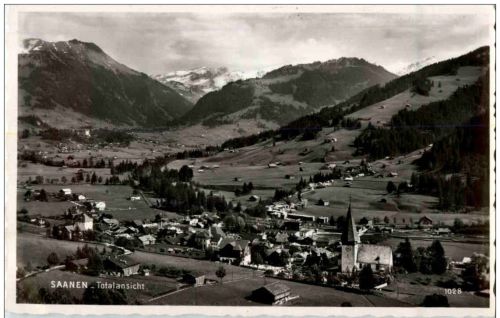 Saanen
