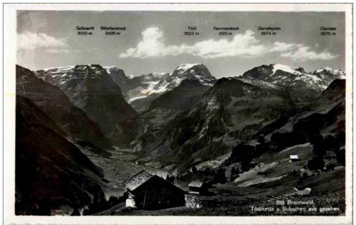 Braunwald