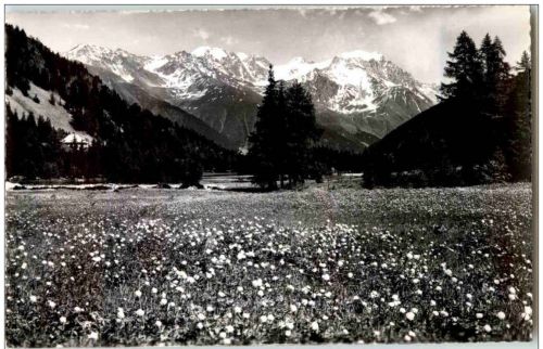 Champex et le Grand Combin
