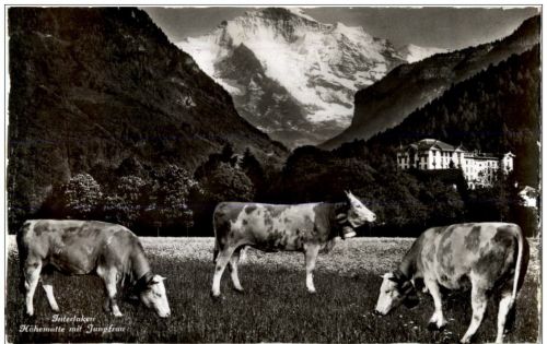 Interlaken - Höhematte