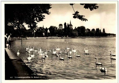 Arbon