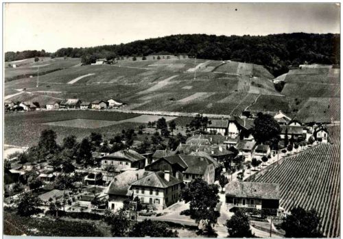 Luins