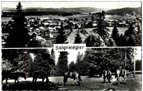 Saignelegier