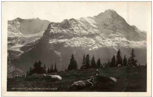 Grindelwald - Alp Nothalde