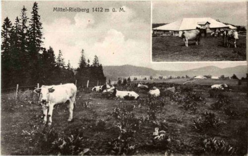 Mittel Rielberg