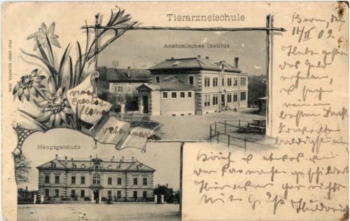 Bern - Tierarzneischule