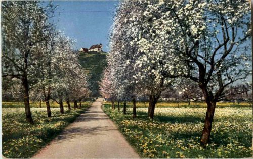 Staufberg