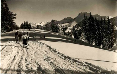 Les Paccots s chatel St. Denis