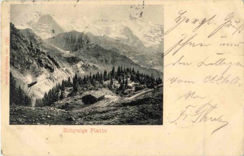 Schynige Platte