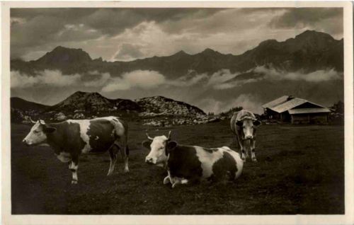 Auf der Alp