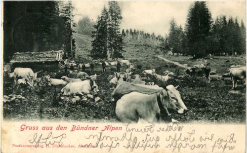 Gruss aus den Bündner Alpen