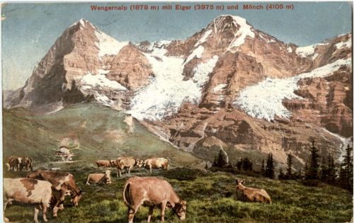 Wengernalp mit Eiger