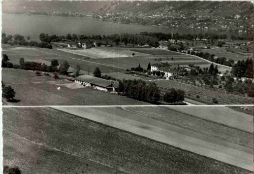 Tenero - Tenuta Agricola